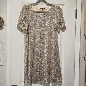 Silver Sequin Dress